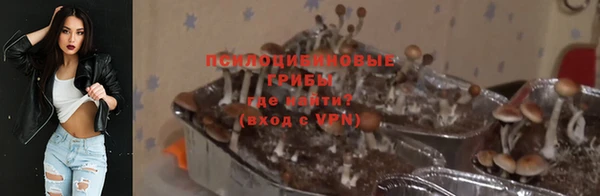 прущий лед Майский