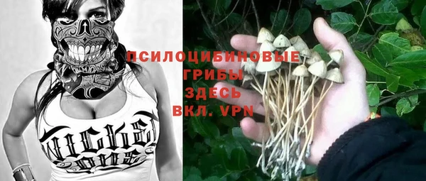 ешки Белоозёрский
