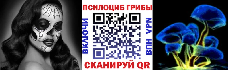 Псилоцибиновые грибы GOLDEN TEACHER  Дальнереченск 