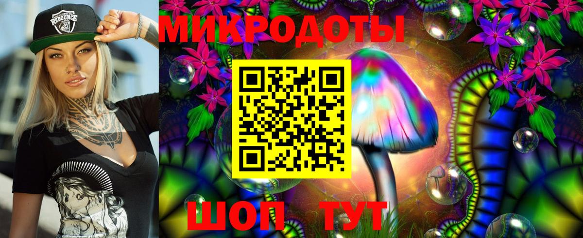 Дальнереченск  Псилоцибиновые грибы Psilocybe  Вход с VPN 